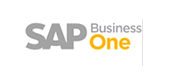 SAP One
